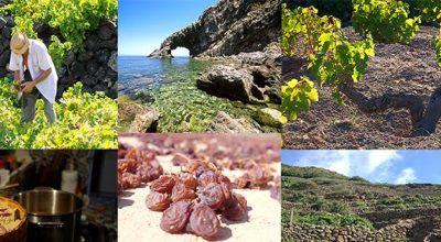 Passitaly a Pantelleria