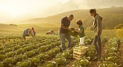 Convocata Commissione Territorio Zero il 24 gennaio sull’acquisto di macchinari comunitari agricoli e sovranità alimentare