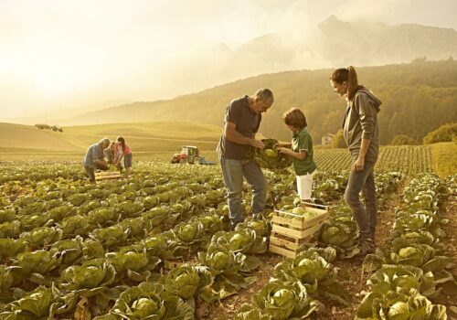 Convocata Commissione Territorio Zero il 24 gennaio sull’acquisto di macchinari comunitari agricoli e sovranità alimentare