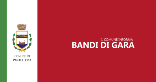 Bando/Disicplinare di gara