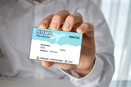 FlyCard